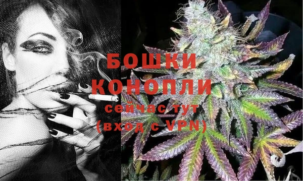 a pvp Аркадак