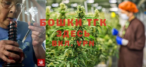 спиды Арсеньев