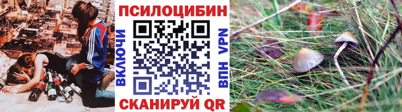 наркошоп  Истра  Псилоцибиновые грибы прущие грибы 